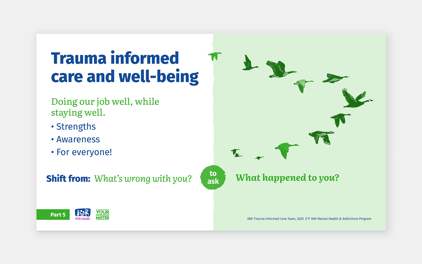 Slide themed: Trauma-informed care and well-being.