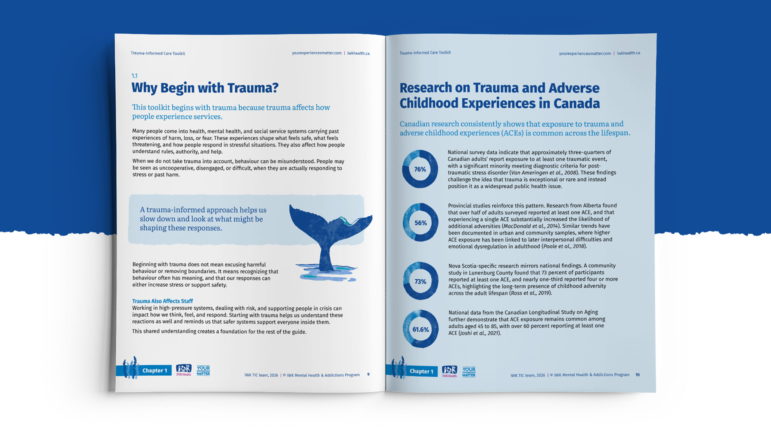 Trauma-informed care toolkit manual spread.