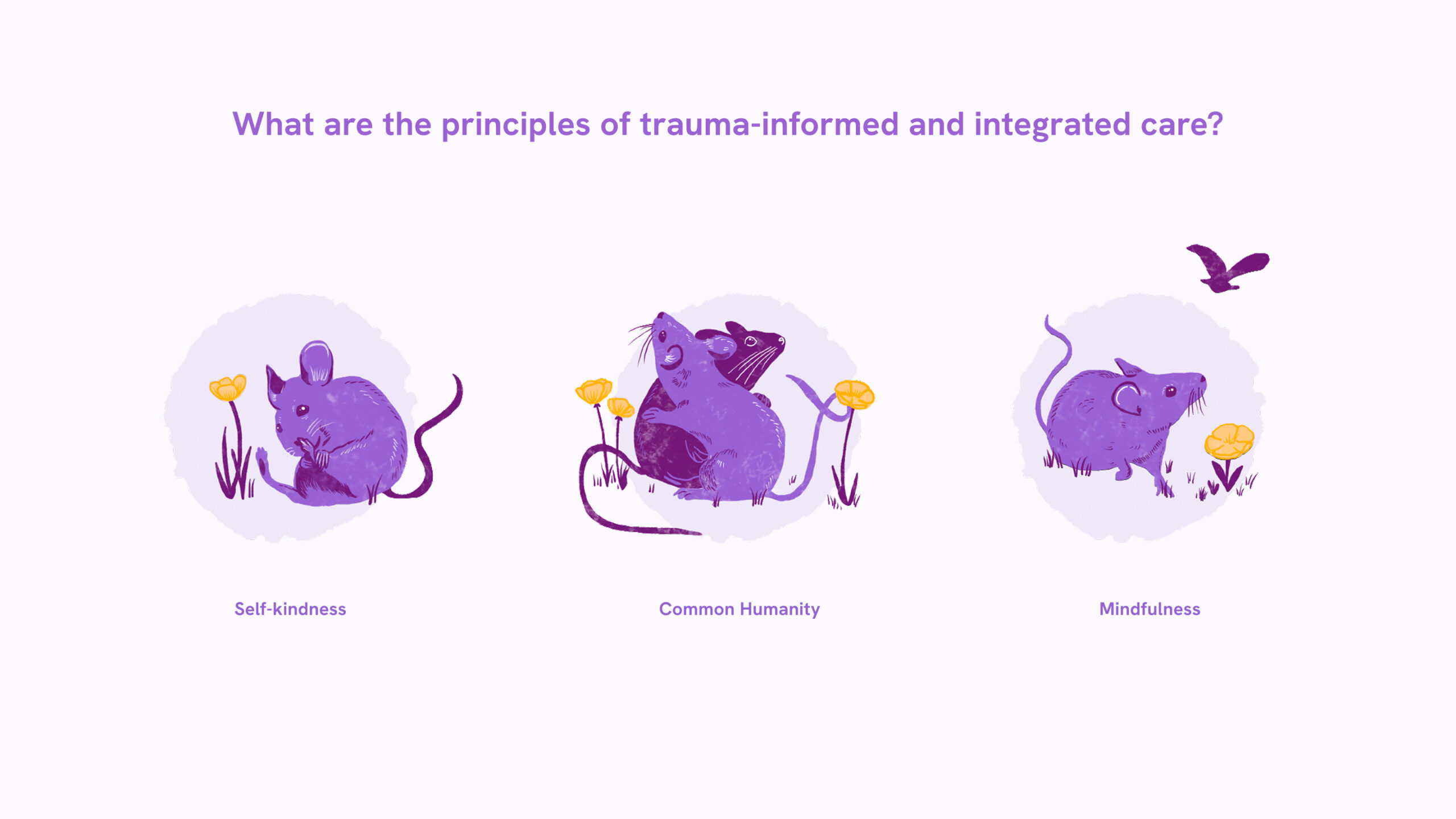 Mice illustrating the principles of trauma-informed care.
