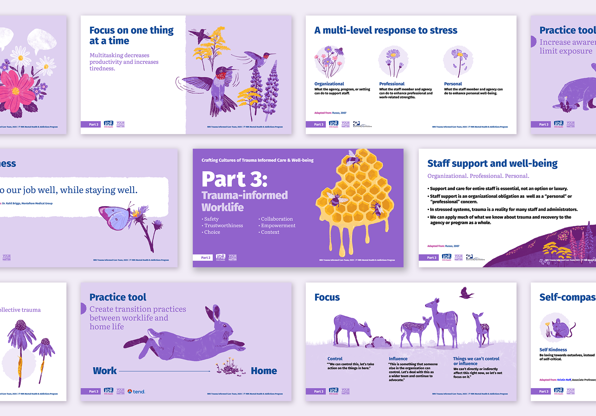 Part 3 presentation slide montage.